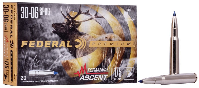 FED 3006 175GR ASCENT 20 - 556 Black Friday Promotion